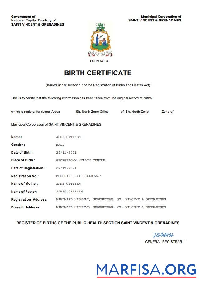 Downloadable Saint Vincent & Grenadines vital record birth certificate Word and PDF template